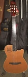 Godin Acs-sa Nylon 2020S Mint. Fixed Price $1375.00.