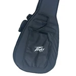 Acoustic Guitar Case Fits Peavey DW-2. Fixed Price $119.99.