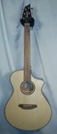 Breedlove Discovery Concert European-african Mahogany Natural Gloss Finish. Fixed Price $472.00.