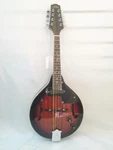 Stadium A-style Acoustic/electric Mandolin-includes Setup-case/bag Available!. Fixed Price $329.99.