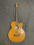 Michael Kelly Dragonfly 5-STRING Acoustic-electric Bass Guitar. Fixed Price $425.00.
