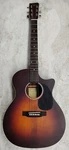 Recording King RGA-16R-CFE5 Road Grand Auditorium Acoustic Electric Guitar. Fixed Price $269.95.