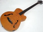 Aria Pro Ii FEB-F2/FL Stbr Acoustic-electric Bass Guitar Stained Brown New. Fixed Price $999.99.