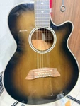 Takamine NPT110-12 12-STRING Acoustic Electric Guitar Sunburst Mij. Fixed Price $799.00.