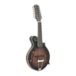 Gold Tone F-12: 12-STRING F-style Mando-guitar With Pickup Case. Fixed Price $797.99.