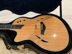 Taylor T5 Custom Lefty, Handed Guitar. Fixed Price $1450.00.
