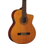 Washburn C64SCE Acoustic-electric Classical Guitar, Solid Spruce Top. Fixed Price $499.00.