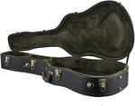 Peavey Guitar Hardshell Case (fits DW-1, DW-2 And DW-3 ). Fixed Price $149.99.