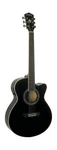 Washburn EA12B-A Festive Series Mini Jumbo Cutaway Acoustic Electric Guitar, .... Fixed Price $215.41.