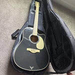 2010 Guitar. Fixed Price $80.00.