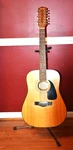 Fender DG-10/12 Ns Twelve (12) String Acoustic Guitar. Fixed Price $450.00.