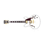Dangelico Excel Dc Semi Hollowbody Electric Guitar. Fixed Price $1199.00.