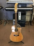 2010 Fender Villager 12 String Acoustic Electric Guitar California Seriesfishman. Fixed Price $419.99.