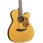 Blueridge BR-143CE Grand Auditorium Acoustic-electric Guitar, Solid Spruce Top. Fixed Price $1115.00.