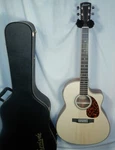 Larrivee LV-03 Bilwara W/ Moon Spruce & Stage Pro Element Venetian Cutaway A/e. Fixed Price $3037.77.