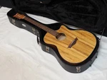 Dean Axcess Axs Spalt Exotic Cutaway Acoustic Electric Guitar New With Case - B. Fixed Price $329.00.