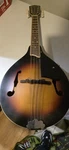 Gretsch New Yorker Mandolin Model G9320 Electric. Fixed Price $175.00.