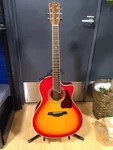 S.yairi YE-58/CB Electric Acoustic Guitar. Fixed Price $433.99.