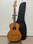 Fender Highway Series Acoustic/electric Parlor Mahogany Top - All. Fixed Price $750.00.