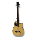 Warwick Alien Deluxe 4 String Acoustic Bass. Fixed Price $1127.70.
