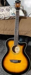 Washburn EA15 Festival Series Acoustic-electric Guitar Tobacco Burst. Fixed Price $333.00.