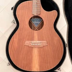 Cole Clark AN2EC-RDBL Mint Condition. Fixed Price $2050.87.