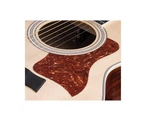 Taylor Pickguard Right Handed For Ga / Gs Series 5.5 Tortoise. Fixed Price $8.99.