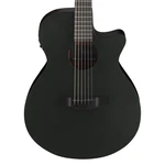 Ibanez AEG621 Acoustic-electric Guitar Black Out. Fixed Price $399.99.