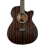 Washburn Deep Forest Ebony Ace Acoustic-electric Guitar Matte Refurbished. Fixed Price $307.12.