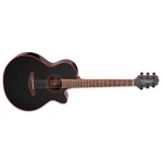 Takamine GF49CE-CB Acoustic-electric Guitar Cosmic Black Sparkle. Fixed Price $739.99.
