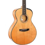 Cort Gold Passion Concert Acoustic-electric Guitar Natural. Fixed Price $1999.99.