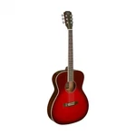 Jn Guitars Bes-a Trb Solid Spruce Red Auditorium Bessie Series Acoustic. Fixed Price $195.00.