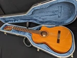 Jose Antonio 8CCE Cutaway Electro Classical Guitar Spain Vintage Model, Spruce. Fixed Price $949.05.