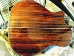 Fender GA45SCE Acoustic Electric Guitar Solid Rosewood Spruce -close Out. Fixed Price $699.00.