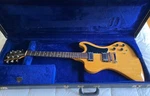 Gibson Standard Electric Guitar. Fixed Price $2979.00.