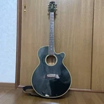 Takamine NPT-110 Electric Acoustic Guitar. Fixed Price $549.45.
