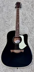 Tagima Fs 200 Eq-bk Dreadnought Cutaway Acoustic/electric Guitar Black W/ Gigbag. Fixed Price $249.00.
