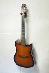 Godin Multiac Steel Duet 60099. Fixed Price $1682.73.