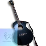 Ibanez AEL30SE-BK Electric Acoustic Guitar With Fishman. Fixed Price $480.02.