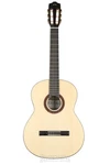 Cordoba C5, Nylon String Acoustic Guitar - Spruce. Fixed Price $449.99.