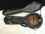 Gold Tone GM-6+/L 6-STRING Lefty Electric Mandolin Guitar New W/ Hard Case. Fixed Price $800.61.