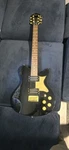 Washburn Lyon Guitar Fall Out Boy Signed Autographed By Joe Trohman 4874 Of 7000. Fixed Price $180.00.