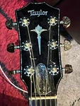 Taylor Presentation Series Ps 10 Cocobolo 6-STRING Acoustic Electric. Fixed Price $11300.00.