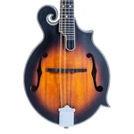Washburn M3SEBRK F-style A/e Mandolin Brown Burst Open Box. Fixed Price $464.99.