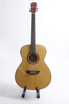Washburn Apprentice Series F5 Folk Acoustic Guitar (natural). Fixed Price $174.99.