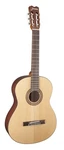 Jasmine JC25CE-NAT J-series Nylon-string Classical Guitar. Fixed Price $189.99.