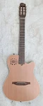 Godin Multiac Encore Nylon String Performance Guitar Semi-gloss W/bag. Fixed Price $1349.95.