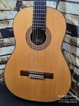 Martin Fleeson 1979 Spruce Rosewood 660MM Classical Guitar Used. Fixed Price $4254.78.