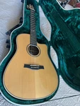 Seagull Artist Peppino Signature Cw Qii Acoustic Electric Guitar Lr Baggs. Fixed Price $1495.00.