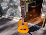 Ibanez GA3ECE Cutaway Classical Body Guitar AEQ2T Preamp W/onboard Tuner. Fixed Price $211.39.